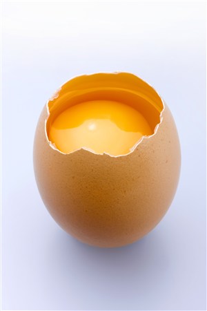 破壳的鸡蛋高清图片