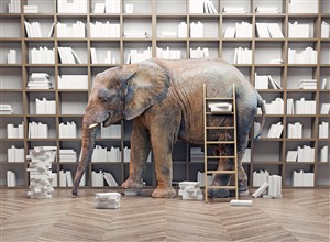 書架前的大象和梯子高清圖片