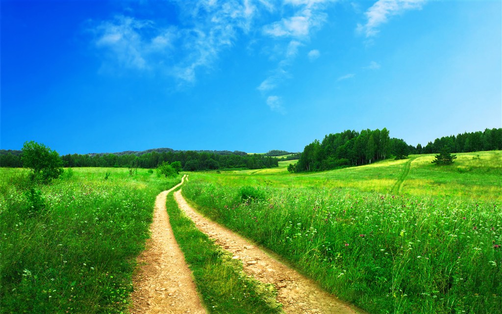 风景图片高清图片素材:蓝绿春天自然景观野外草地度假 ,文件格式为