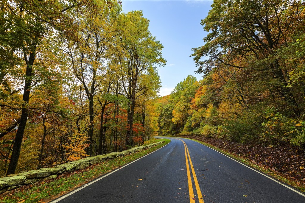 秋天自然清新唯美树林森林中公路道路向前延伸交通野外