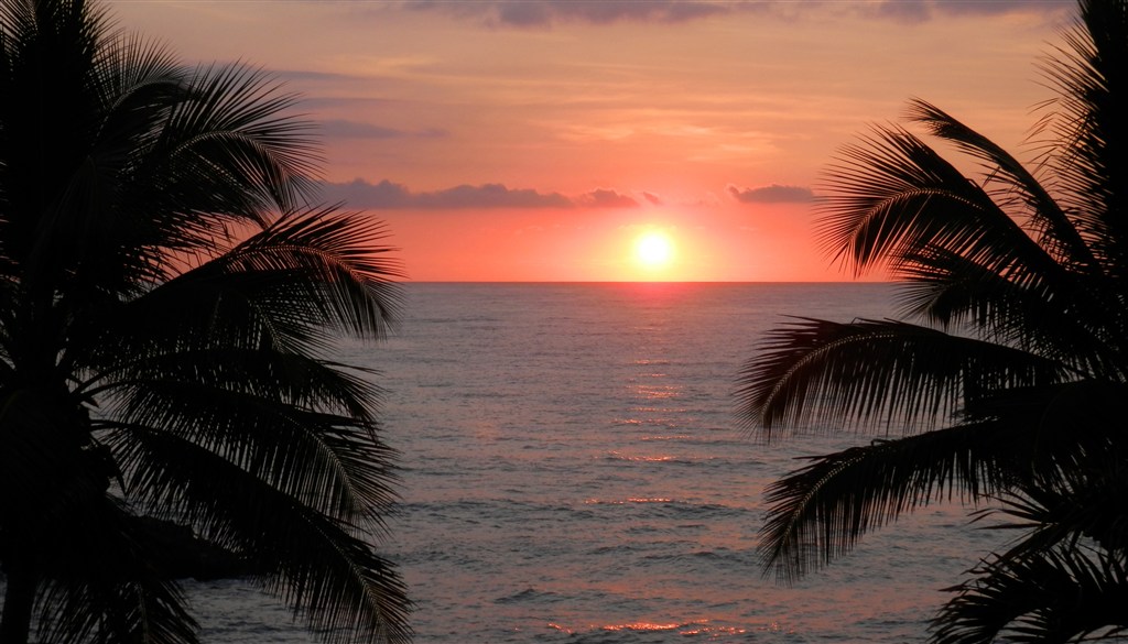下载:0 次 收藏:0 次 标签:大海图片椰树图片海上日出图片海景