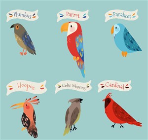 6款彩绘标注名称的鸟类矢量图 