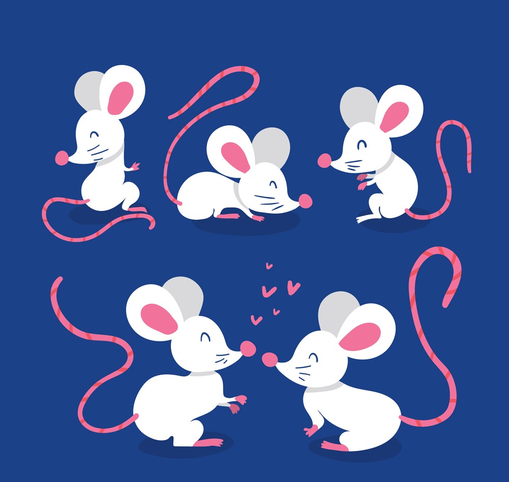 5款白色老鼠设计矢量素材 