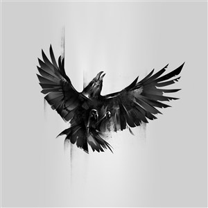 手绘展翅飞翔的乌鸦高清图片 