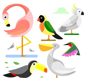 6款创意鸟类设计矢量素材 
