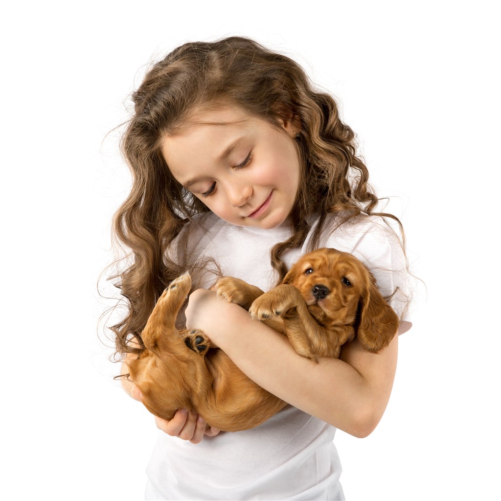 抱着狗狗的可爱小女孩高清图片 
