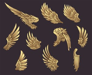 金色矢量翅膀羽毛图案素材