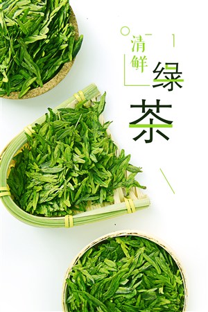 清新绿色绿茶海报 