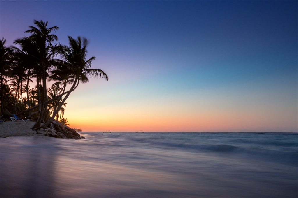 蓝天下的海面和椰树高清图片