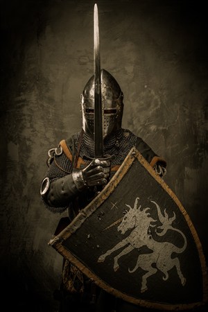 一位持盾与剑的骑士