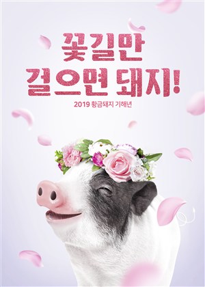 快乐可爱的小猪新年海报