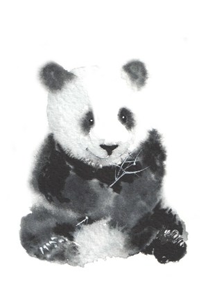 国宝熊猫高清图片