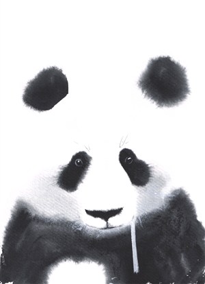 国宝熊猫黑白高清图片