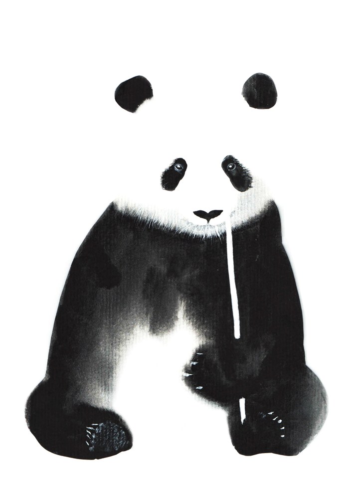 黑白熊猫高清图