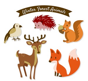 5款美丽森林动物矢量素材狐狸松鼠小鸟刺猬
