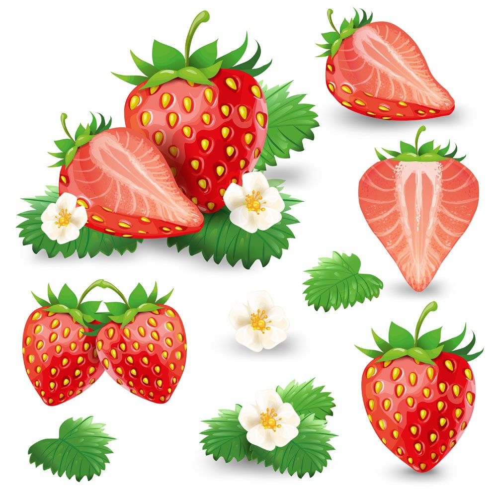 5款逼真新鲜草莓矢量素材叶子花朵水果