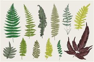北欧文艺小清新植物叶子图案装饰插画抱枕挂画门帘素材