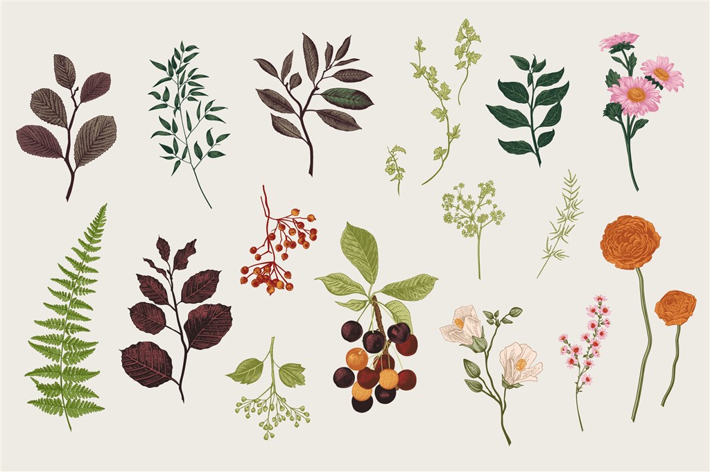 北欧文艺小清新植物叶子图案装饰插画抱枕挂画门帘素材