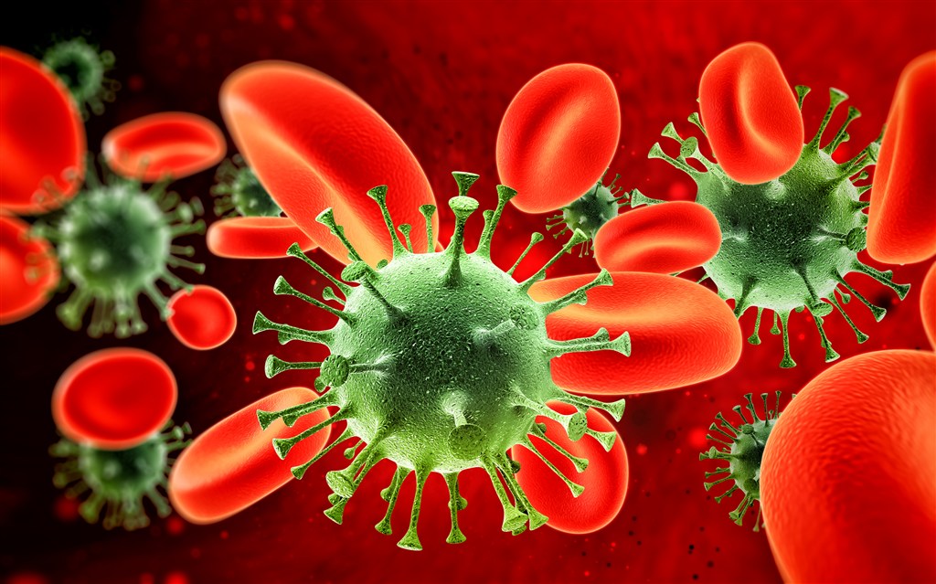 红细胞和病菌微生物高清图片
