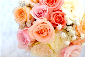 缤纷多彩的玫瑰花束高清图片