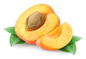 酸甜可口的杏子高清图片