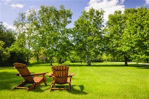 蓝天下的大树和草地上的躺椅高清图片