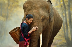 美女抱着大象图片