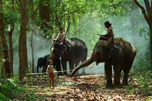 小孩骑在大象身上的高清图片