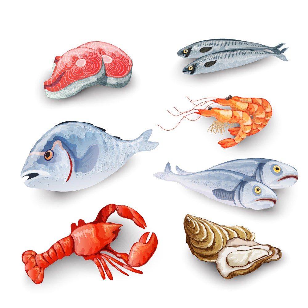 7款创意美味海鲜设计矢量图鱼虾鱼肉金枪鱼三文鱼龙虾扇贝海螺