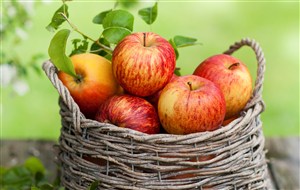素食水果苹果素材图片