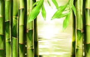 唯美高清竹子湖面风景图片