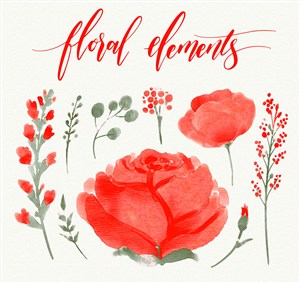 浪漫唯美水彩晕染红色玫瑰花卉和树叶花枝枝叶枝条图案元素插画矢量图