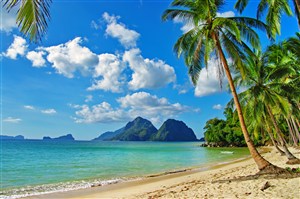 沙滩椰树海景高清风景画