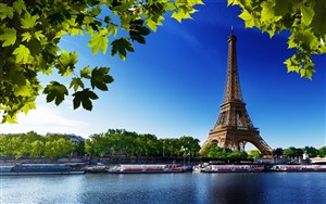唯美树枝巴黎铁塔风景画