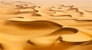 金色沙漠风景画