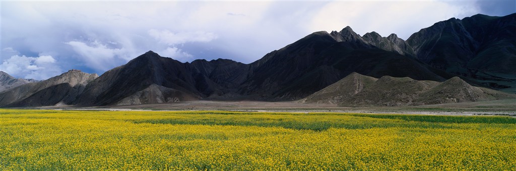 绿草地山峦风景画