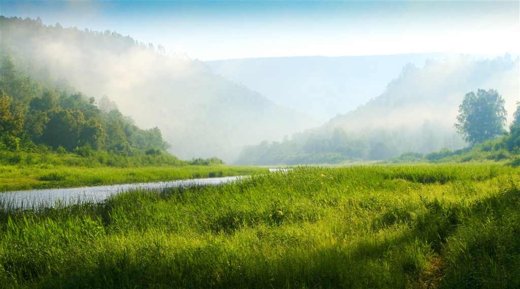 湖畔草地树林美景