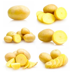  不同形态的土豆和切块的土豆高清图片