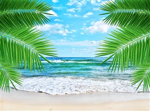 高清沙滩椰树海景风景画
