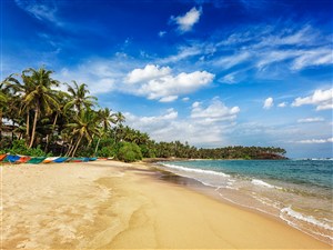 高清海景沙滩椰树风景画
