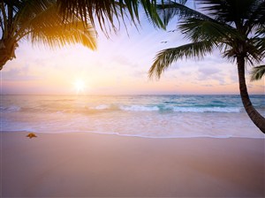 黄昏椰树沙滩海景风景画