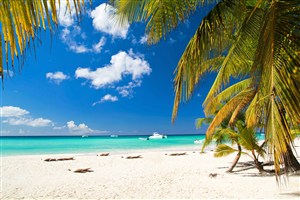蓝天白云沙滩椰树风景画