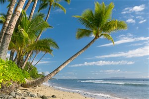 蓝天白云海岛椰树风景画