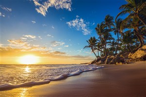 黄昏海滩椰树风景画