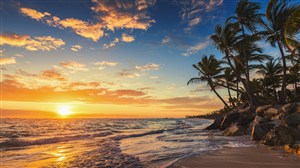 日出海景椰树风景画