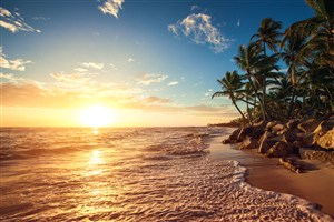 沙滩海景椰树风景画