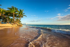 海景沙滩椰树高清风景画