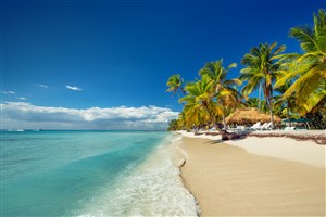 沙滩唯美椰树海景风景画