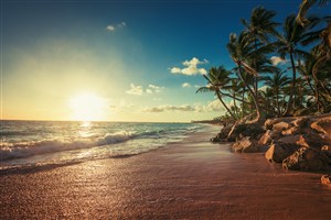 高清日出海滩椰树风景画