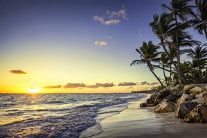 唯美海滩椰树风景画